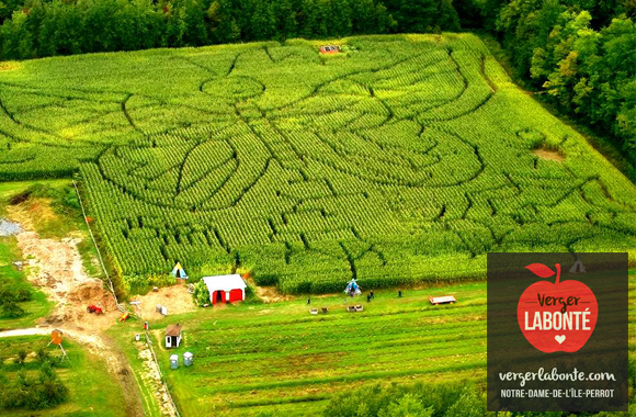 5 vergers où faire d'autres activités que la cueillette de pommes