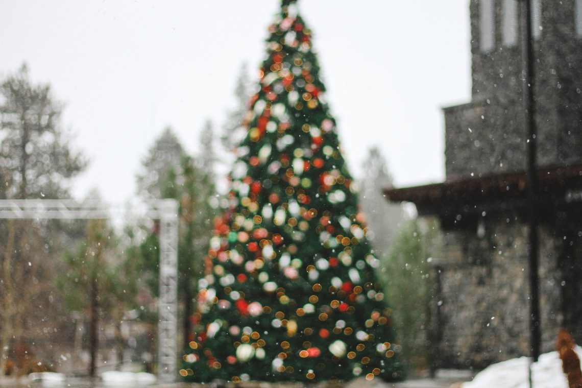 sapin-durable